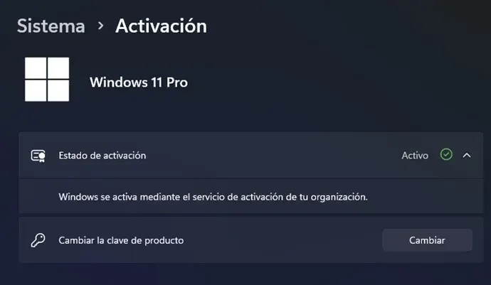 Windows X-Lite Optimum 11 24H2 Pro Windows X-Lite Optimum 11 24H2 Pro