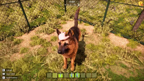 Animal Shelter 2 (2025) PC Full Español