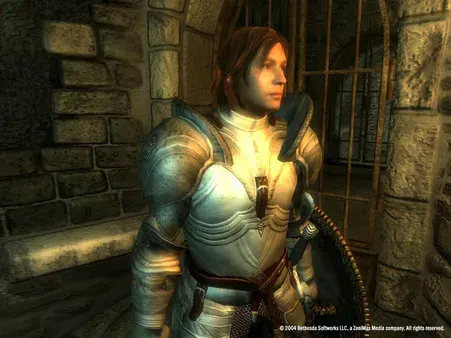 The Elder Scrolls IV: Oblivion Game of the Year Edition (2007) PC Full Español The Elder Scrolls IV: Oblivion Game of the Year Edition (2007) PC Full Español