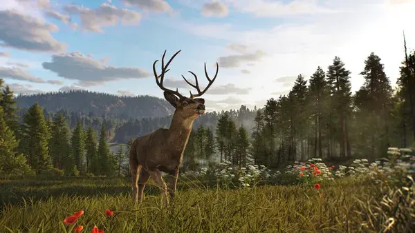 Way of the Hunter 2 PC-GAME Español
