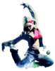 leofox123