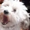 felixhg